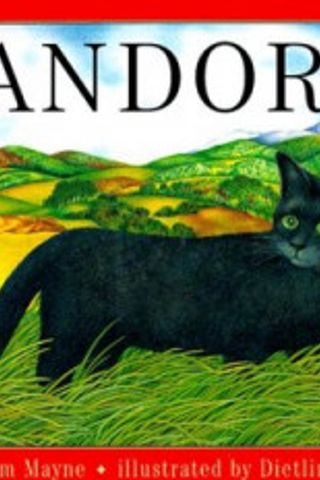 Book cover