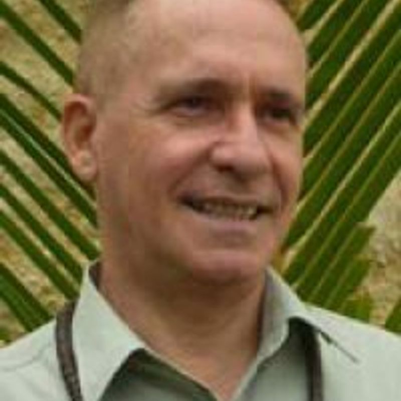 José Carlos  Ribeiro profile picture