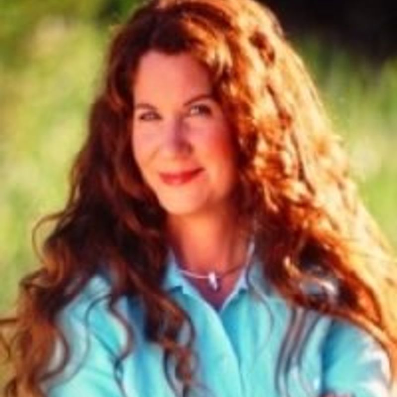 Susan Wiggs profile picture