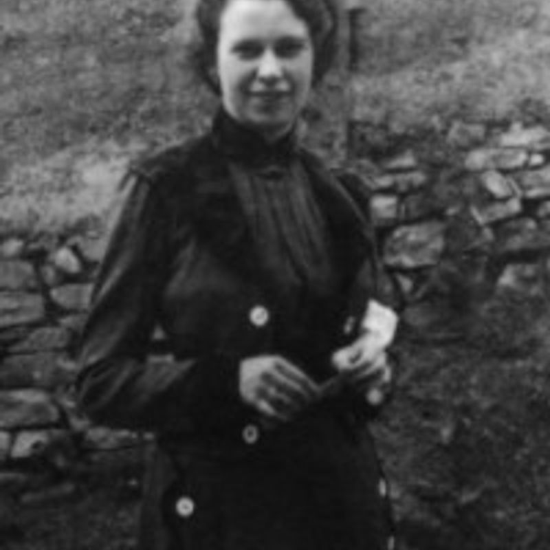 Alice Dayrell Caldeira Brant profile picture