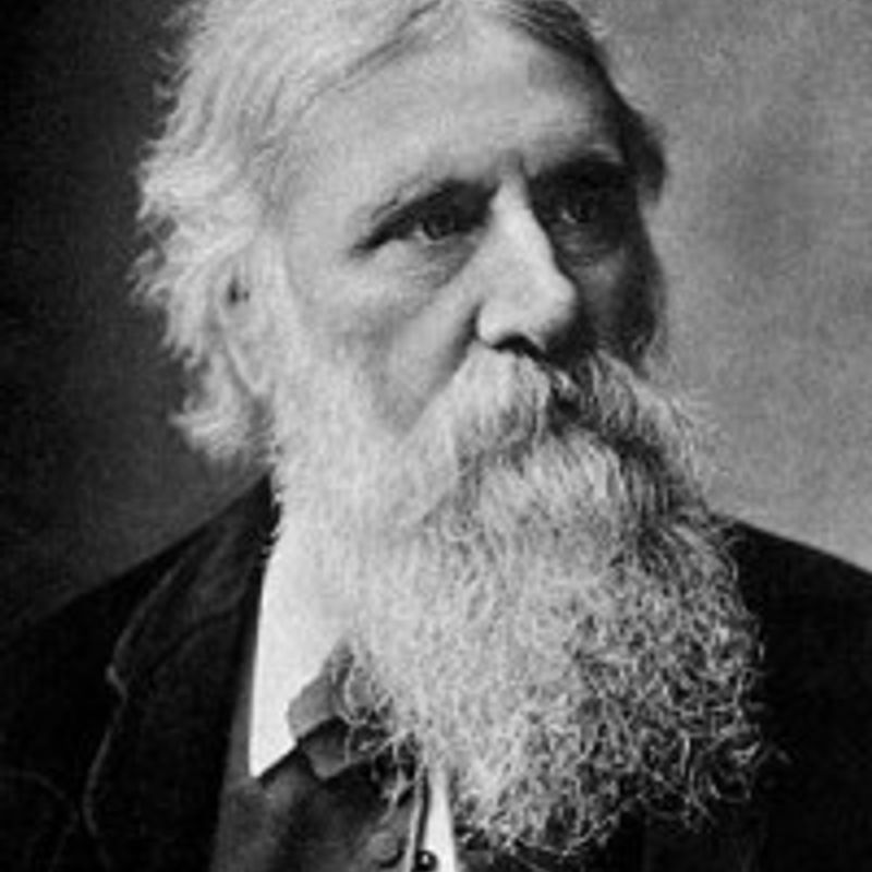 George MacDonald profile picture