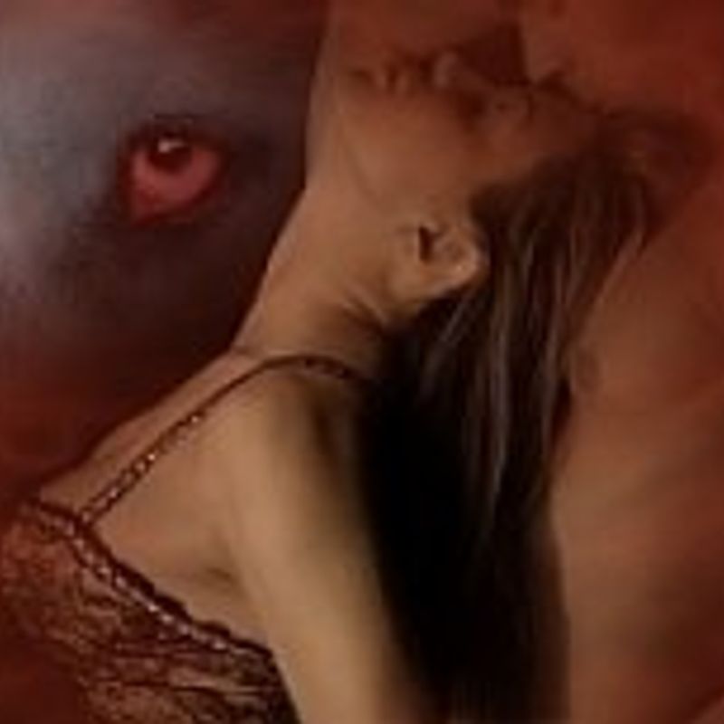 Shelly Laurenston profile picture