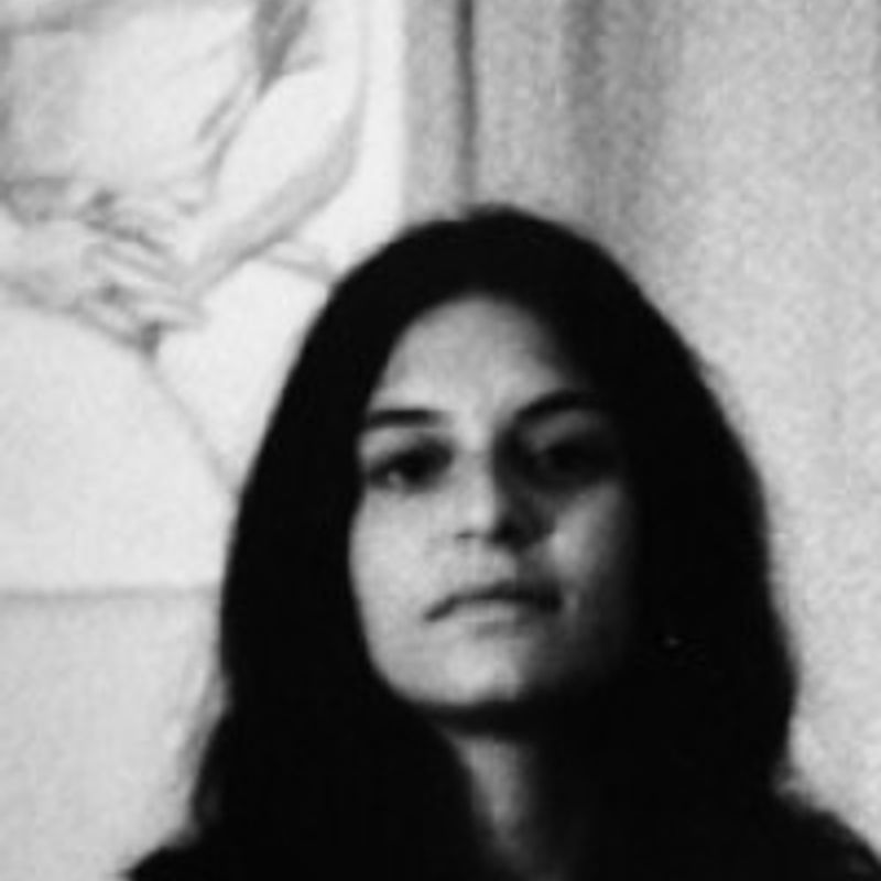 Shulamith Firestone profile picture