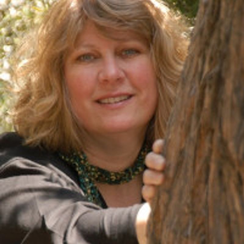 Robin LaFevers profile picture