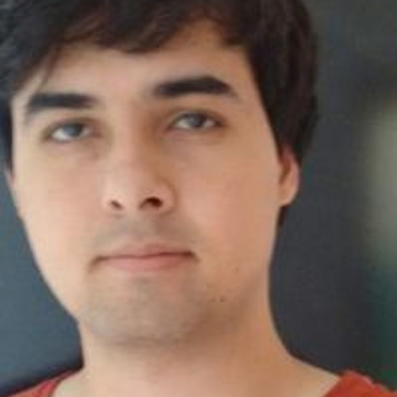Ariel Ganassim profile picture