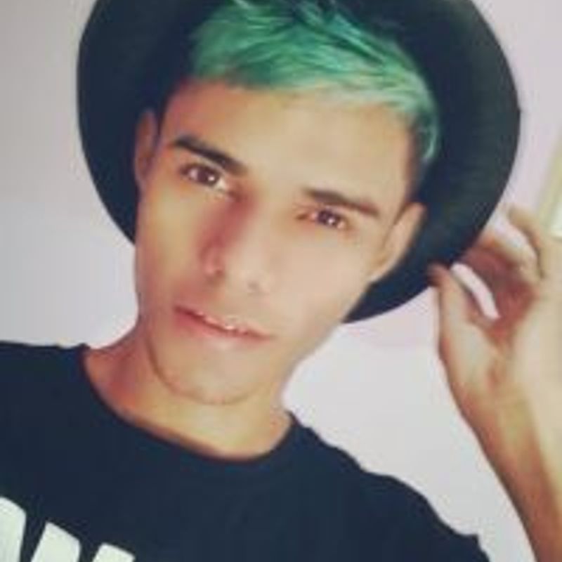 Laerte Verrier profile picture
