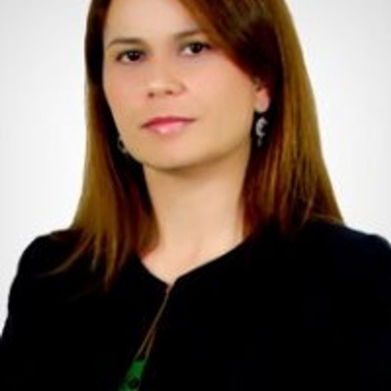 Cibele Fernandes Dias profile picture