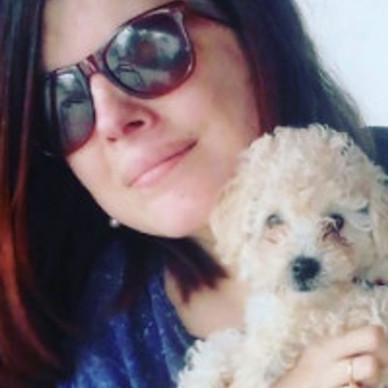 Maria Luíza profile picture
