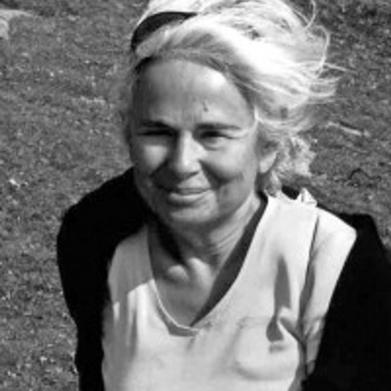 Ellen Meiksins Wood profile picture