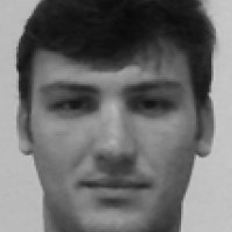 Ricardo R. Lecheta profile picture