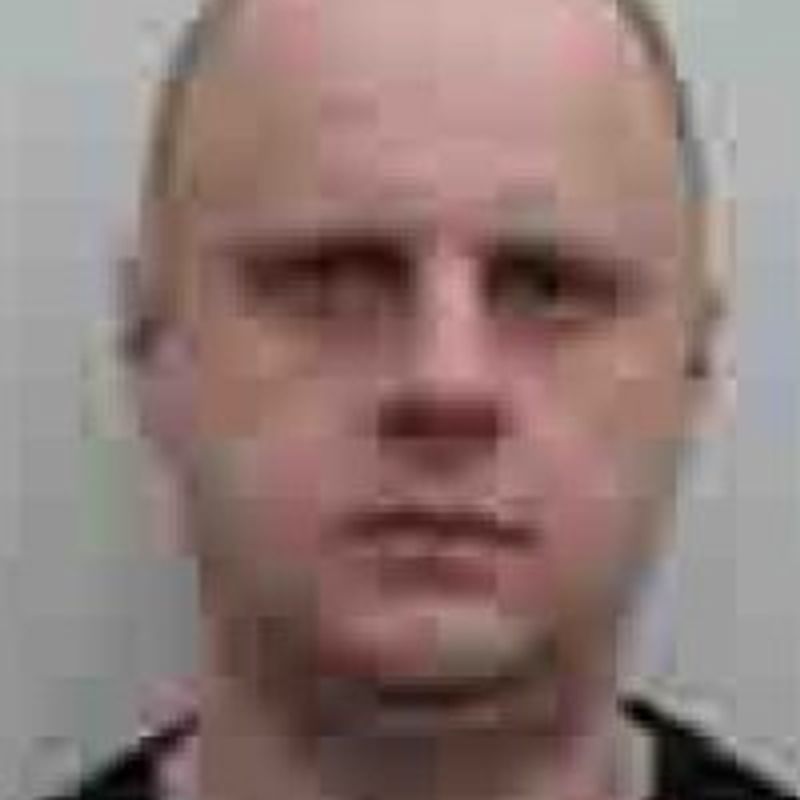 Elvis Pfützenreuter profile picture