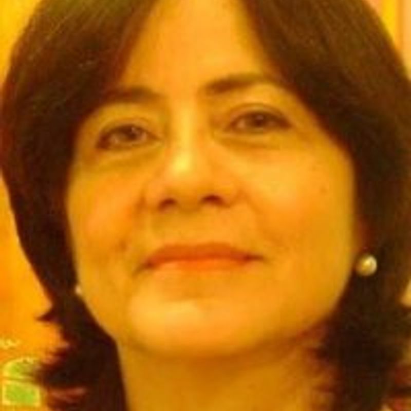 Vera Ione Molina profile picture