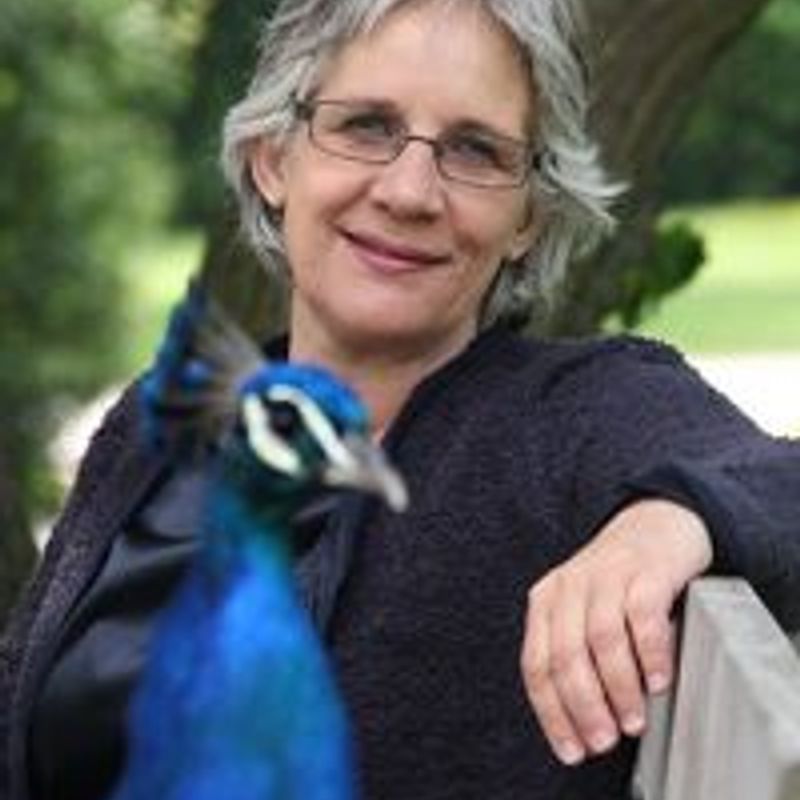 Marjolijn Hof profile picture