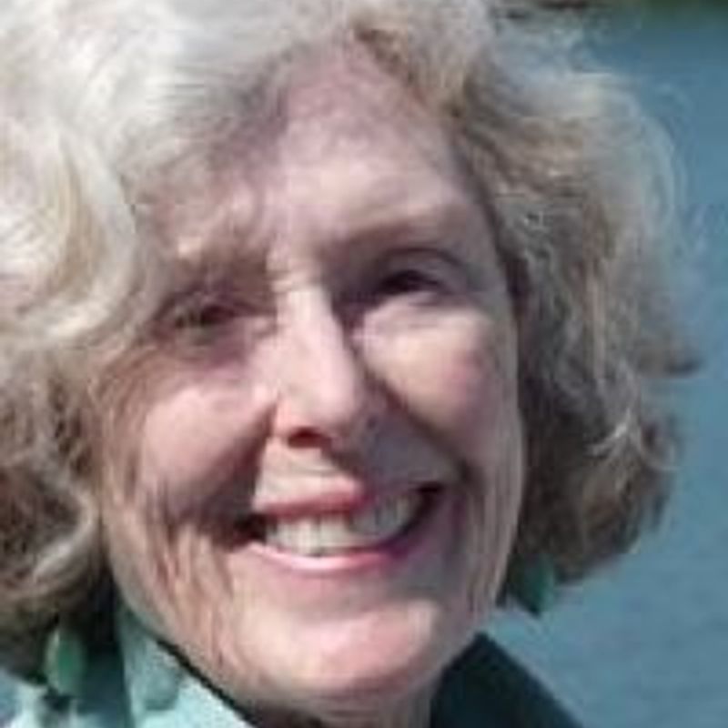 Susan Trott profile picture