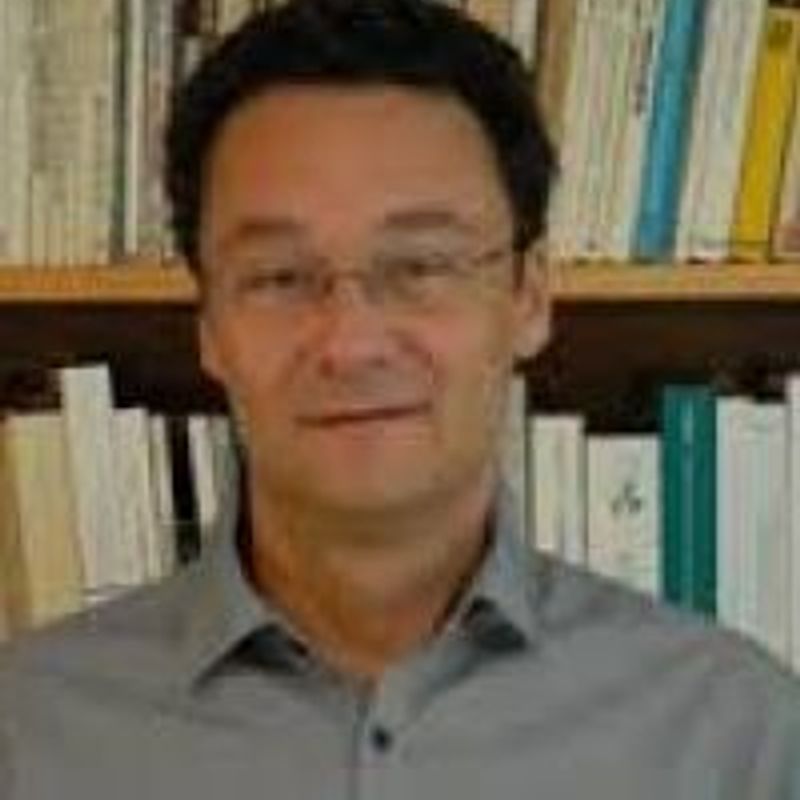 Márcio Seligmann Silva profile picture