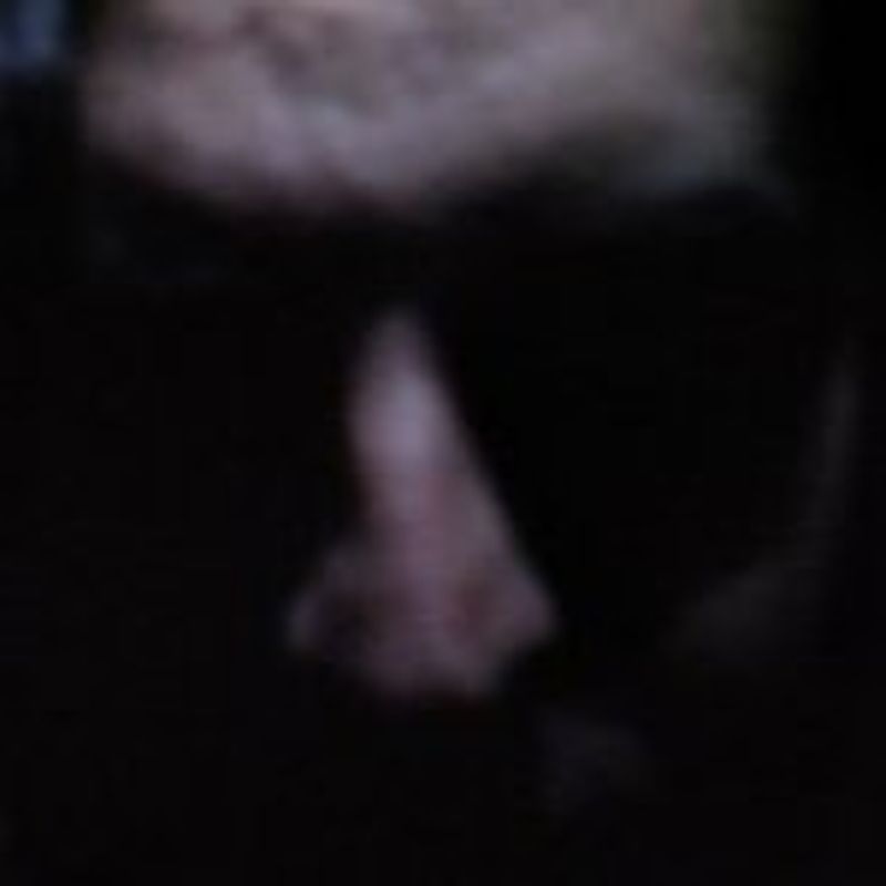 GS Lewd profile picture