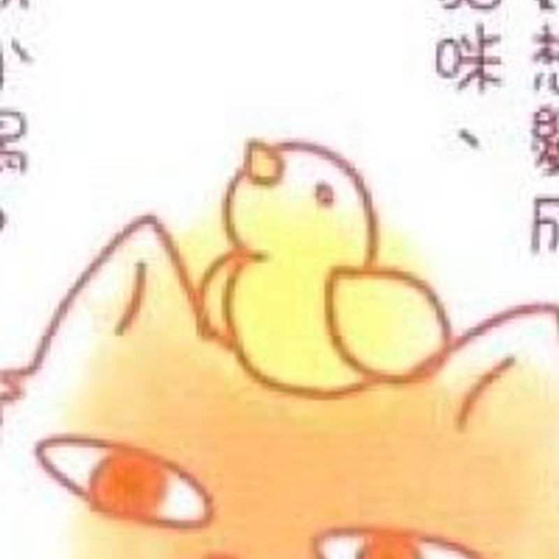 KANDA Neko profile picture