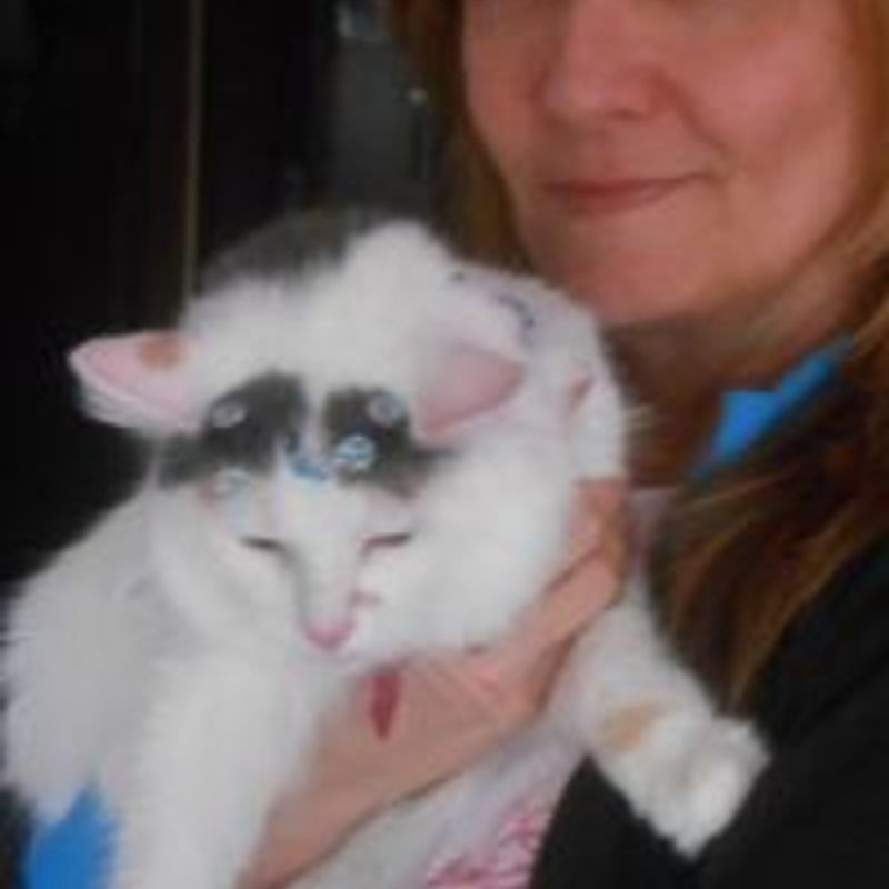 Maria Helena Datria profile picture