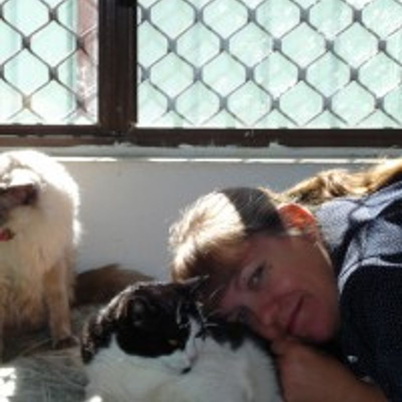 Angela Verdenius profile picture