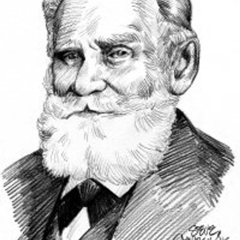 Pavlov profile picture