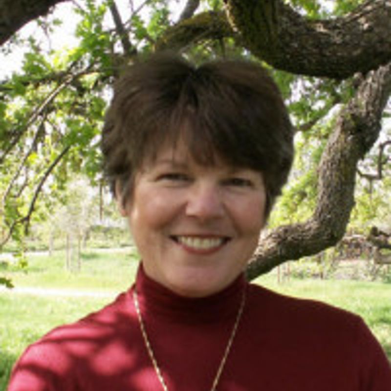 Amanda Scott profile picture