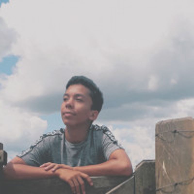 Rocco Bravo profile picture
