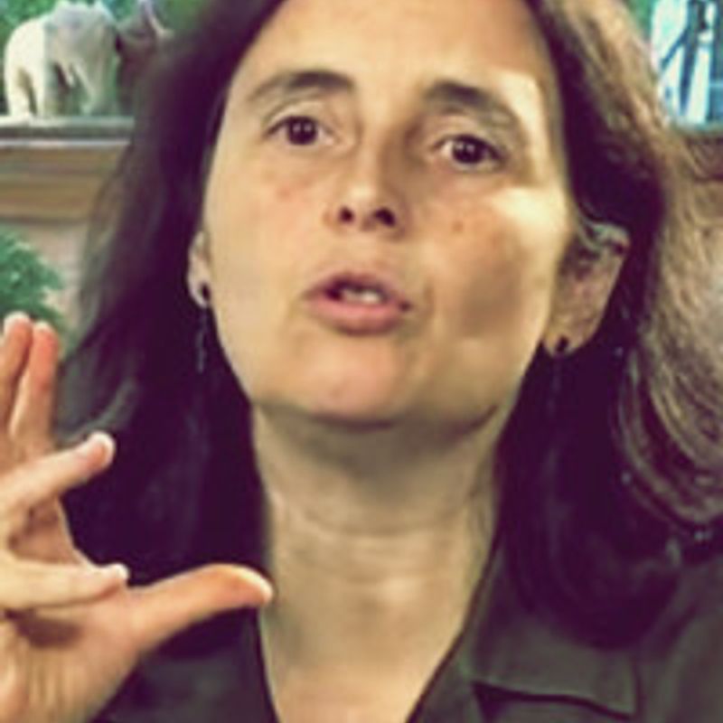 Marta Kohl de Oliveira profile picture