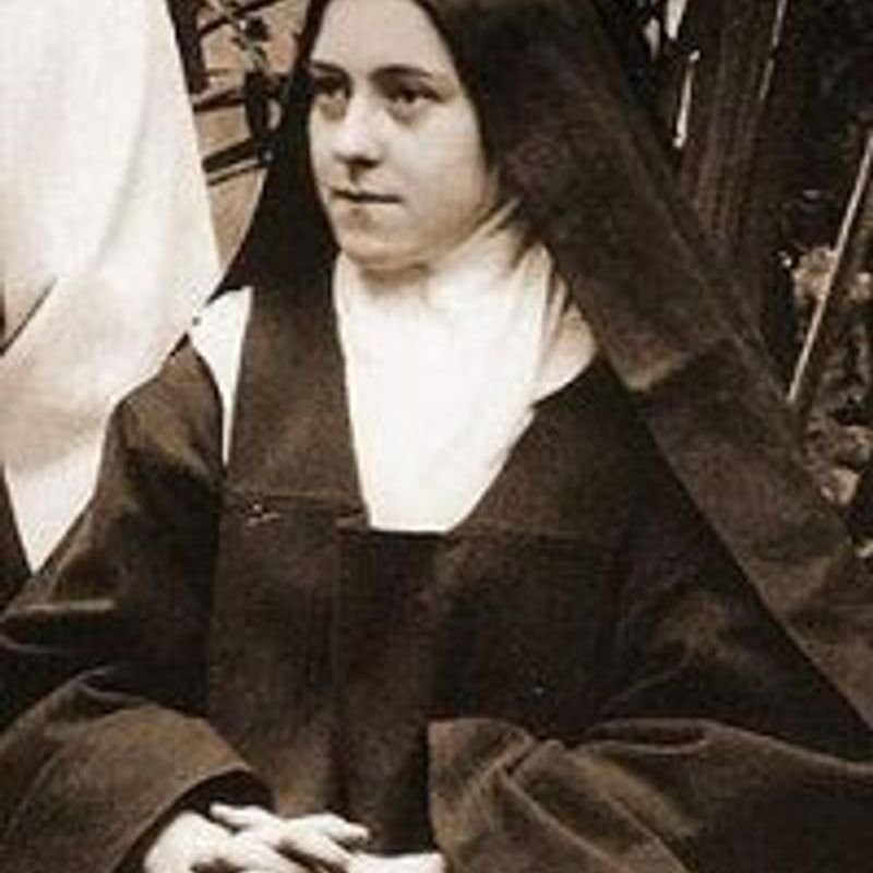 Marie-Françoise-Thérèse Martin profile picture