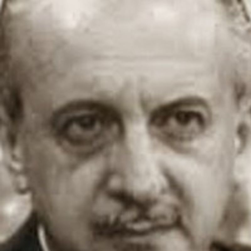 José Silveira Sampaio profile picture