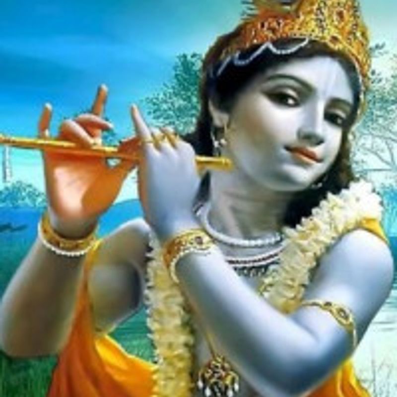 Krishna profile picture