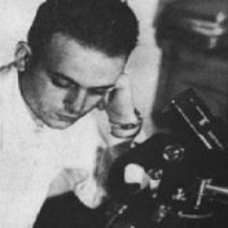 Cesare Mansueto Giulio Lattes profile picture