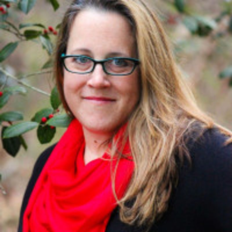 Brigid Kemmerer profile picture