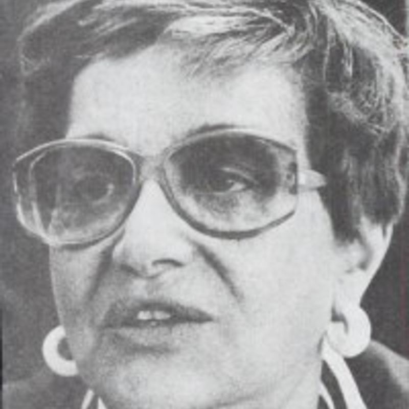 Lara de Lemos profile picture