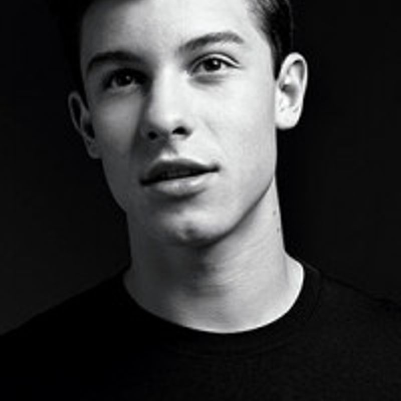 Shawn Mendes profile picture