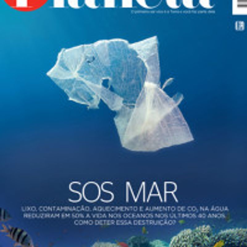Revista Planeta profile picture
