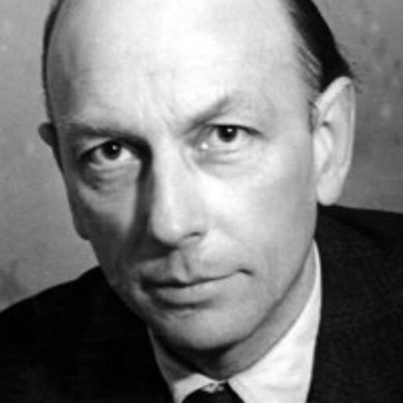 Henri Michaux profile picture