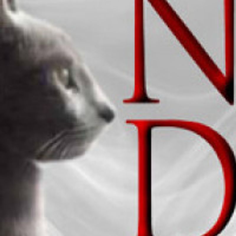 Nicole Dennis  profile picture