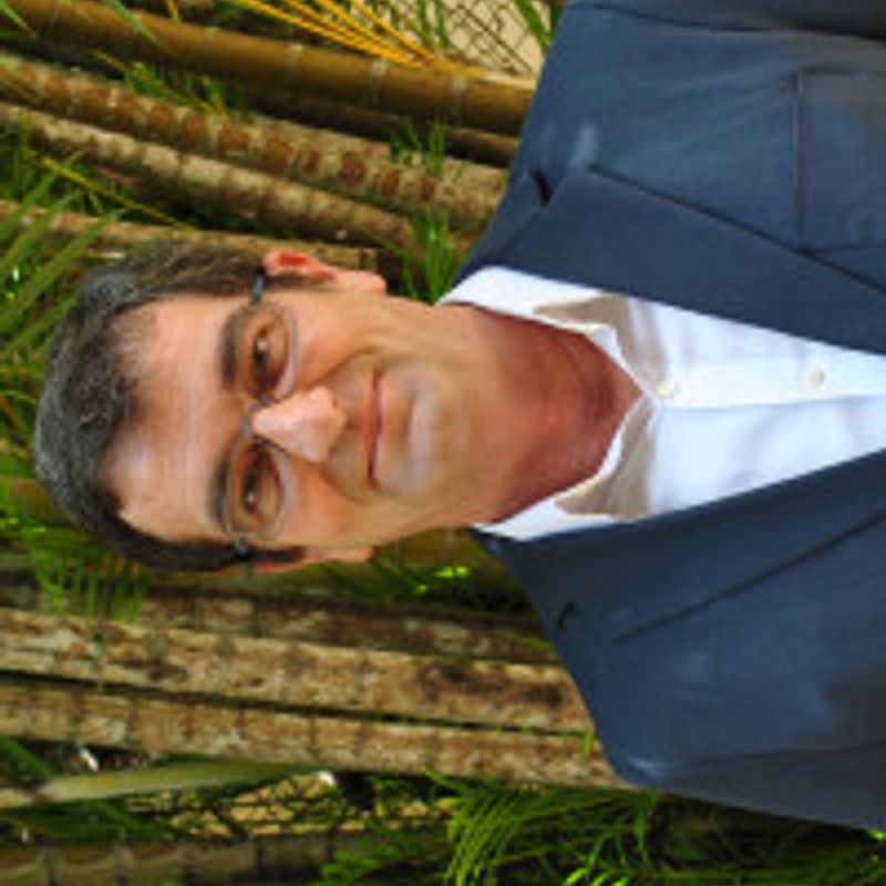 Juca Serrado profile picture
