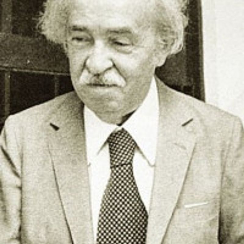Aurélio Buarque de Holanda Ferreira profile picture