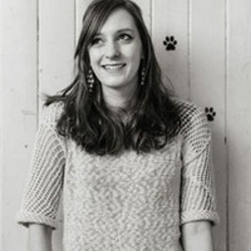 Holly Bourne profile picture