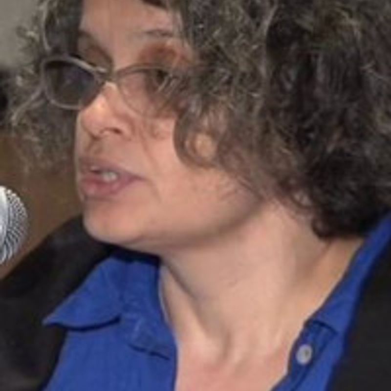 Paola Berenstein Jacques profile picture