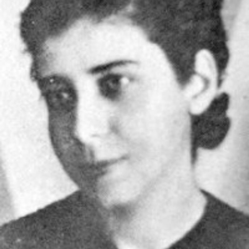  Benedita Pereira Rezende Graciotti profile picture