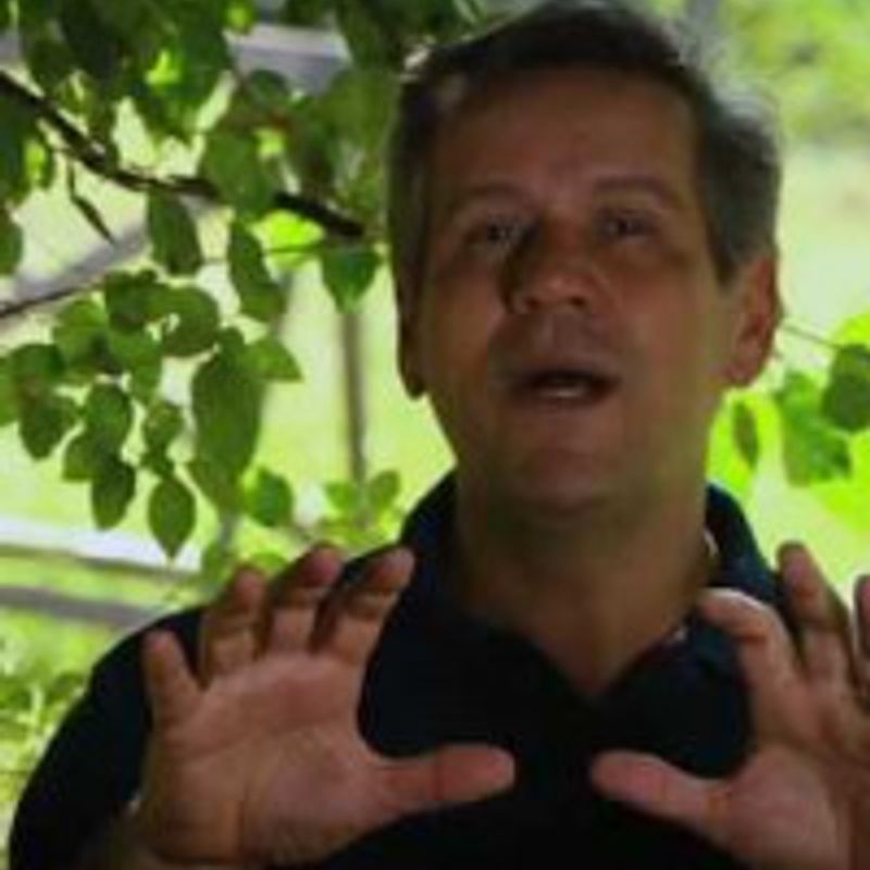 Marcelo Cristo profile picture