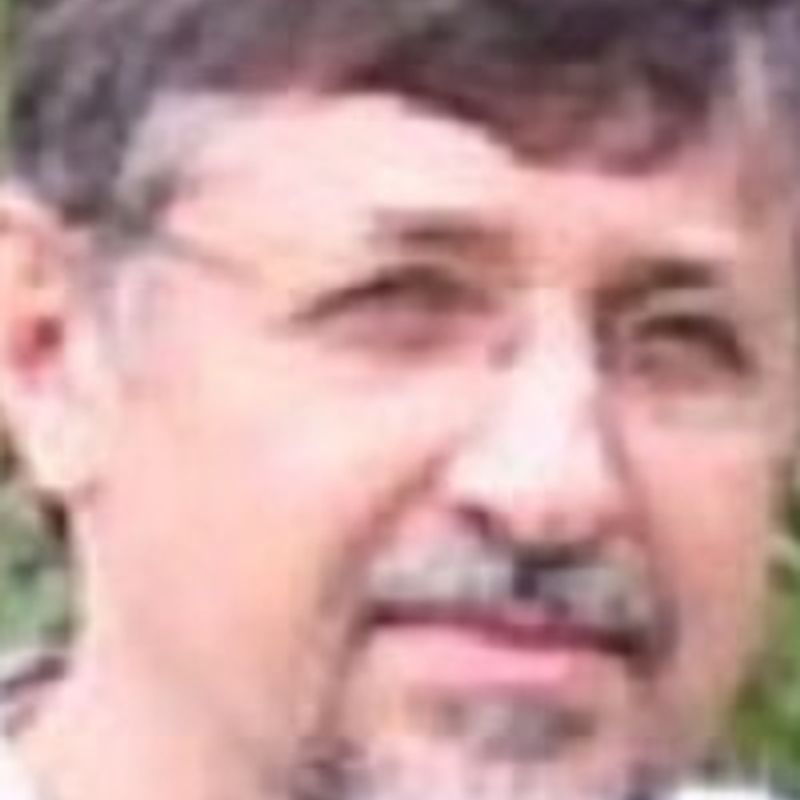 Cezar Augusto Mortari profile picture