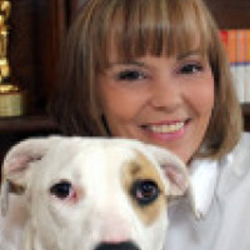 Catherine Mann profile picture