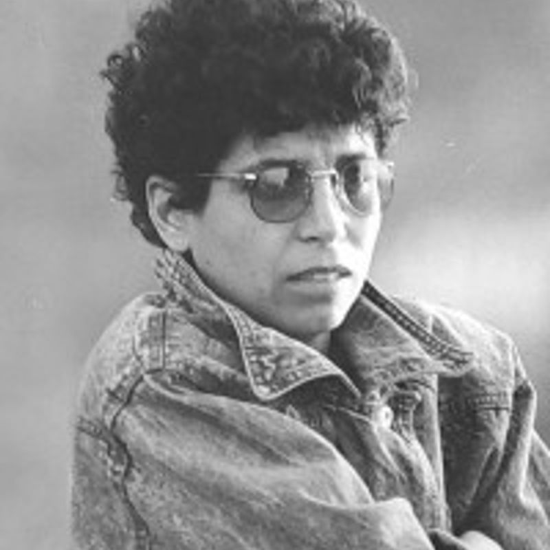Lenir Vicente profile picture