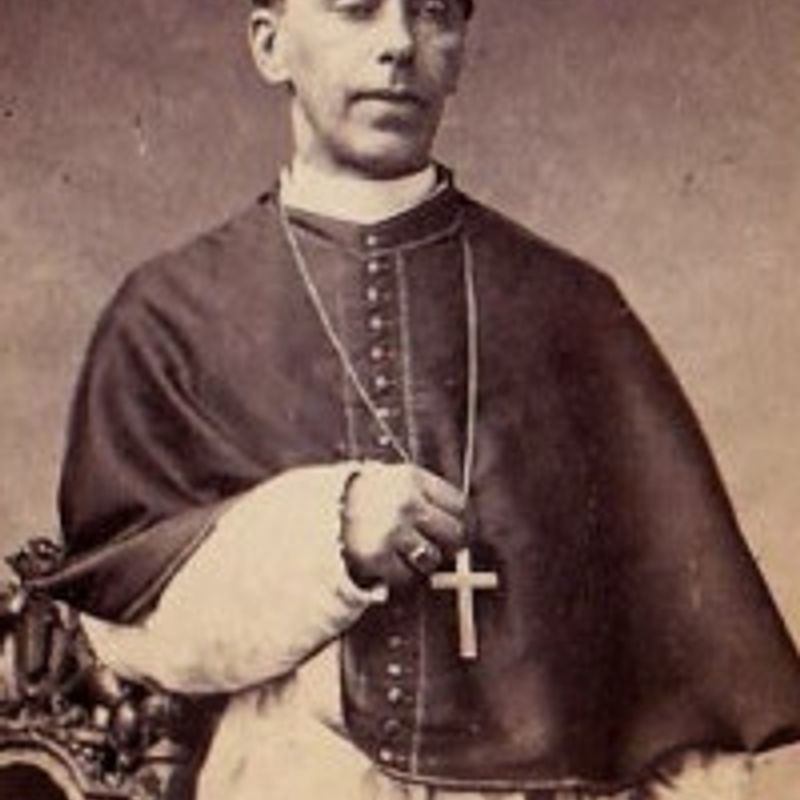 Louis-Gaston Adrien de Segur profile picture