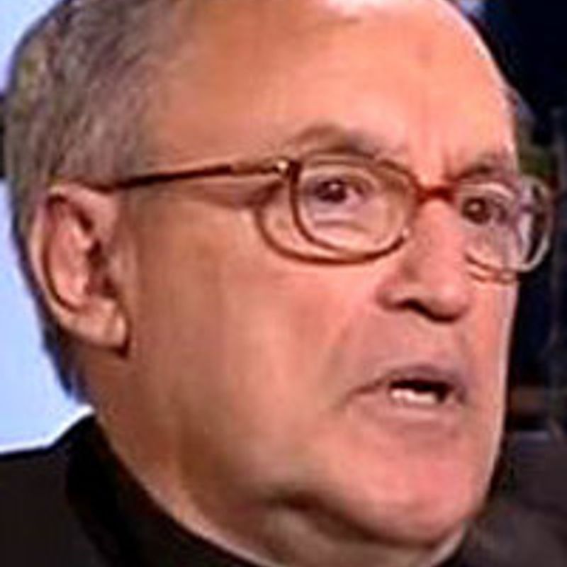 José Antonio Sayés Bermejo profile picture