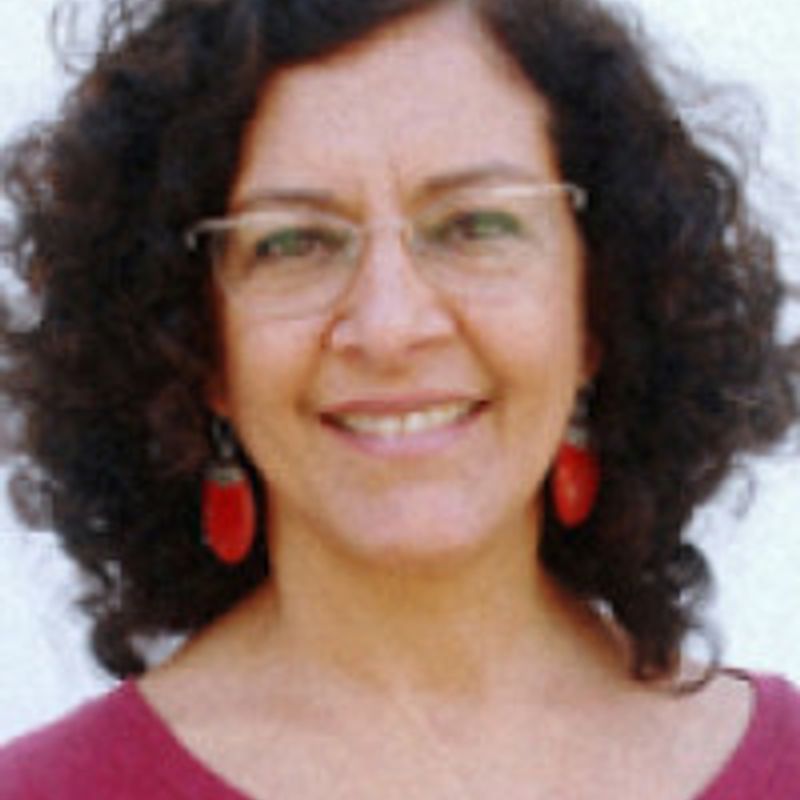 Nise Maria Tavares Jinkings profile picture