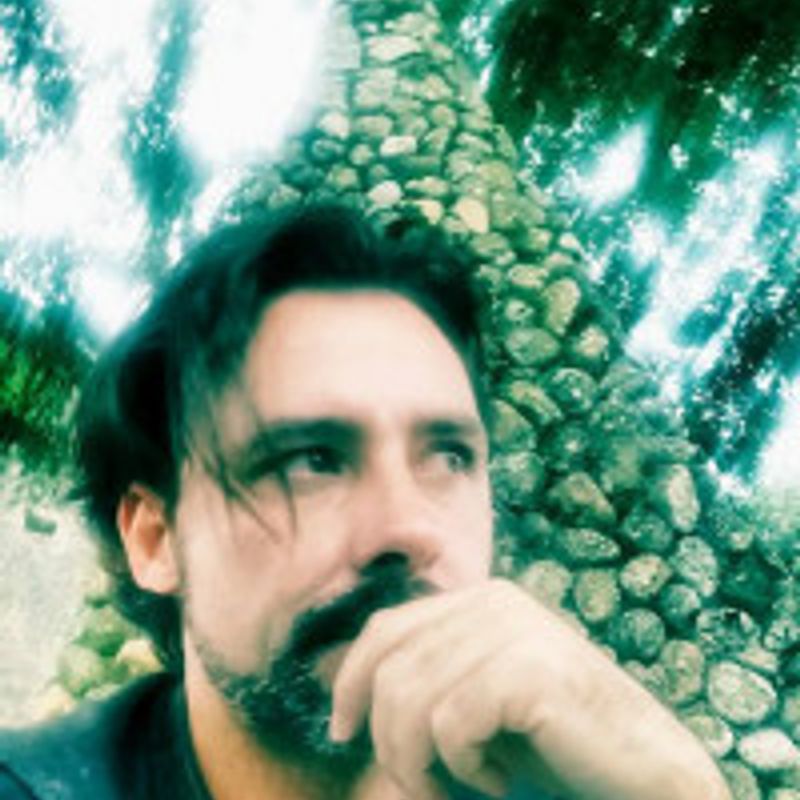 David Mendes profile picture